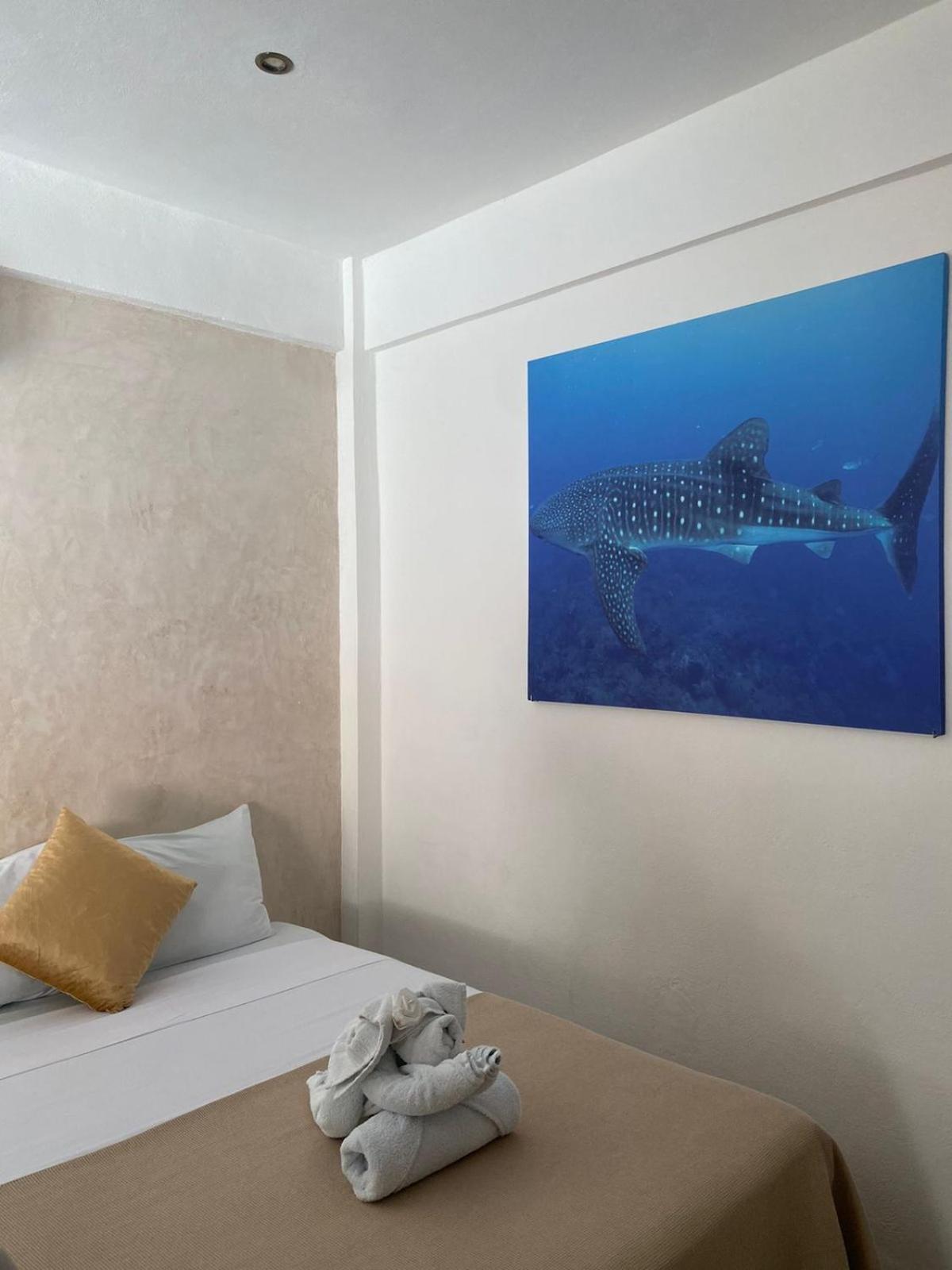 Suites Pelicano Holbox Exterior foto